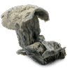 Atlantic Treasure Coast Mushrooms