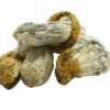 avalanche mushroom