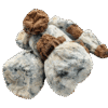 Blue Button Magic mushrooms