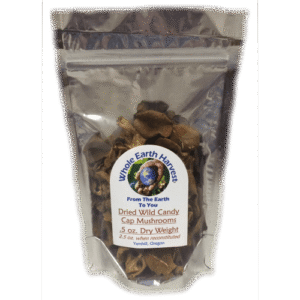dried candy cap mushrooms