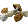 Code Blue Mushrooms