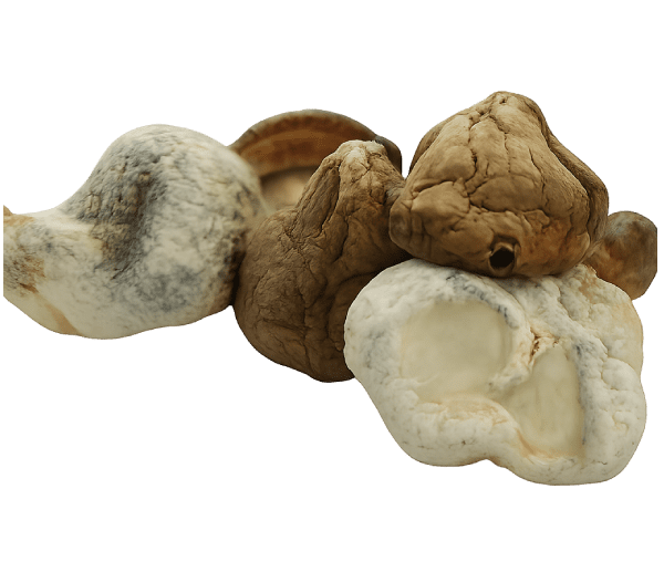 DC Mac Mushrooms