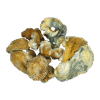 Dino Eggs Mushrooms