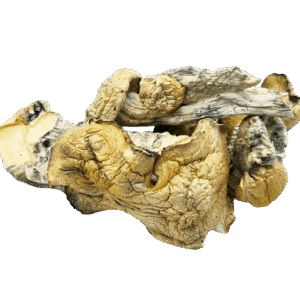 Fo Dawg Mushrooms
