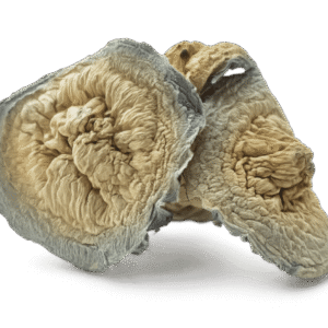 Swamp Ghost Mushroom
