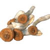 Golden Meanies Mushrooms