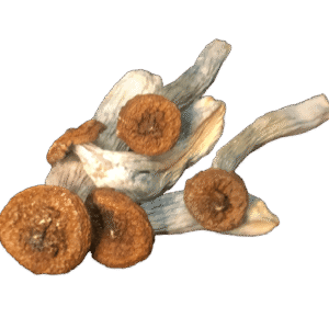 Golden Meanies Mushrooms