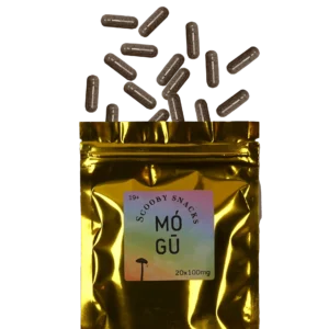mushroom microdosing capsules
