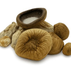Squat Mac Shrooms