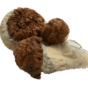 Texas Yellow Cap Mushrooms