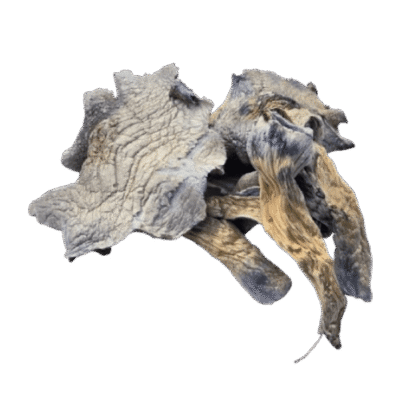 White Rabbit mushrooms