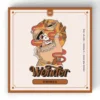 wonder bars