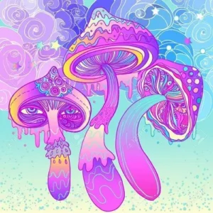 hippie flip