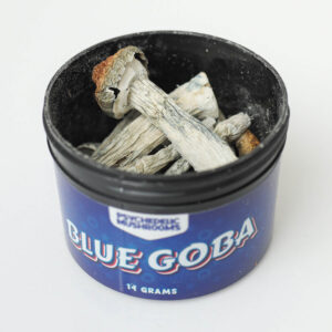 blue goba mushrooms
