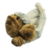 DC AK Mushrooms