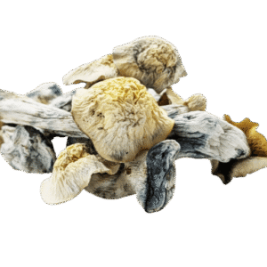 Flipper Mushrooms