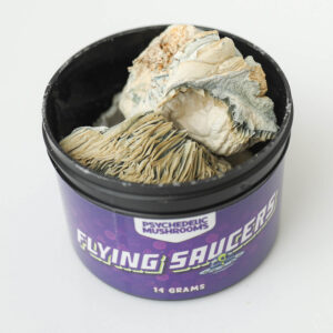 flying saucer mushroom