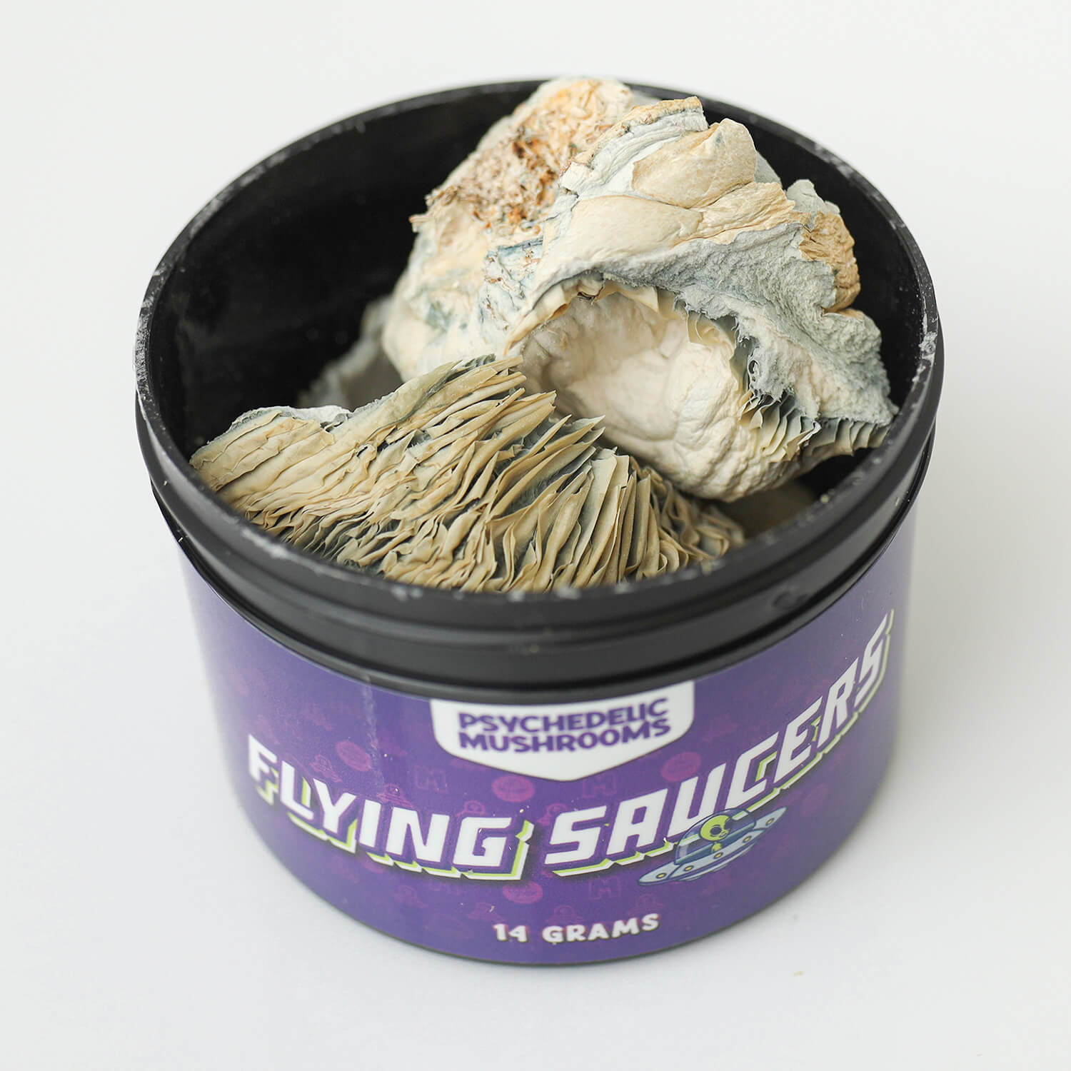 flying saucer mushroom