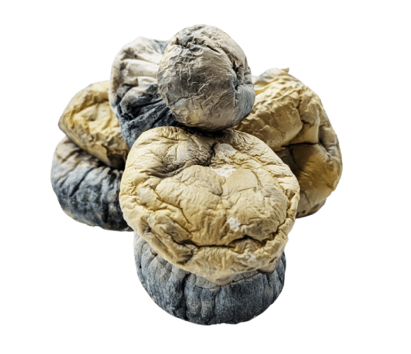 Ghost Mushrooms