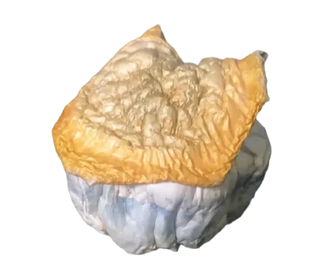 Bluey Vuitton Mushrooms 