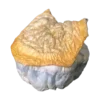 Bluey Vuitton Mushrooms
