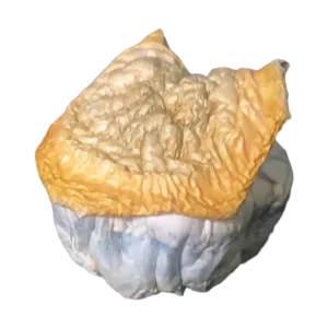 Bluey Vuitton Mushrooms