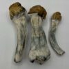 Melmac mushrooms